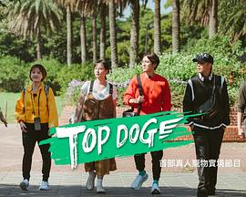 快猫短视频《TOP DOG》免费在线观看