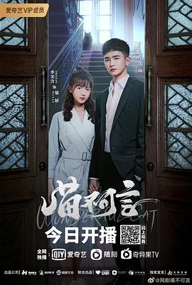 快猫视频《喵不可言》免费在线观看