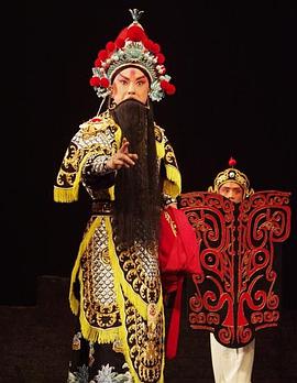 快猫视频《袁崇焕2009》免费在线观看