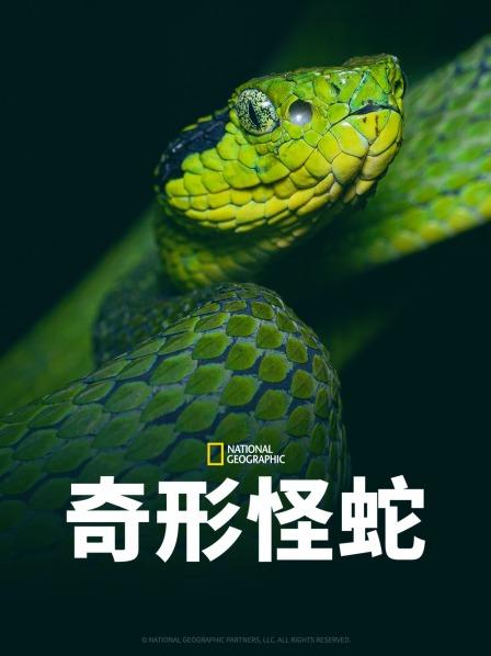 快猫视频《奇形怪蛇》免费在线观看